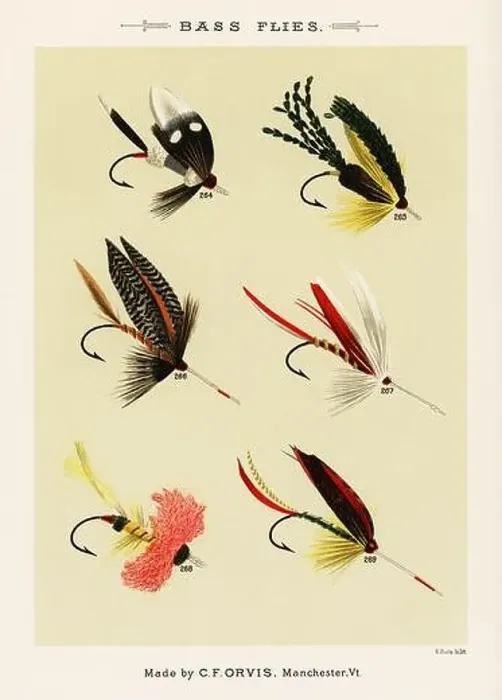 Framed Print : Vintage Illustration of fly fishing hooks Framed Print : Vintage Illustration of fly fishing hooks