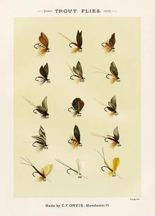 Framed Print : Vintage Illustration of fly fishing hooks Framed Print : Vintage Illustration of fly fishing hooks