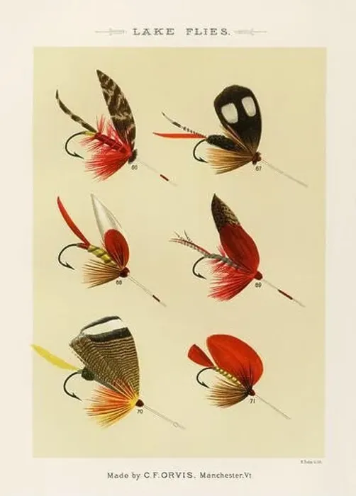 Framed Print : Vintage Illustration of fly fishing hooks Framed Print : Vintage Illustration of fly fishing hooks