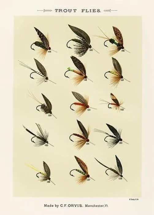 Framed Print : Vintage Illustration of fly fishing hooks Framed Print : Vintage Illustration of fly fishing hooks