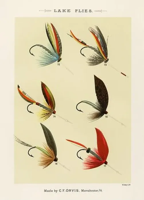 Framed Print : Vintage Illustration of fly fishing hooks Framed Print : Vintage Illustration of fly fishing hooks