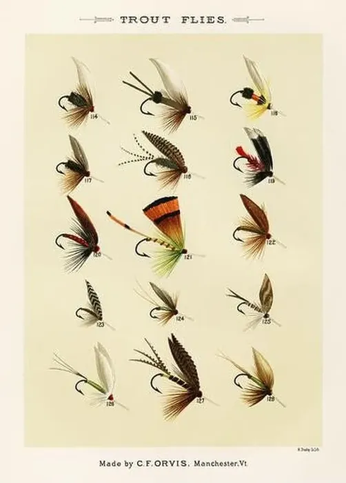 Framed Print : Vintage Illustration of fly fishing hooks Framed Print : Vintage Illustration of fly fishing hooks