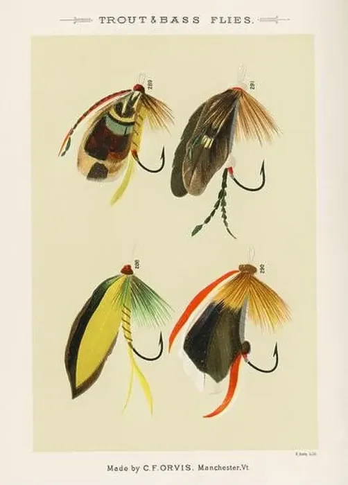 Framed Print : Vintage Illustration of fly fishing hooks Framed Print : Vintage Illustration of fly fishing hooks