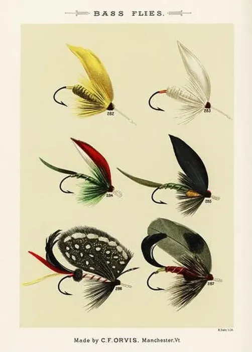 Framed Print : Vintage Illustration of fly fishing hooks Framed Print : Vintage Illustration of fly fishing hooks