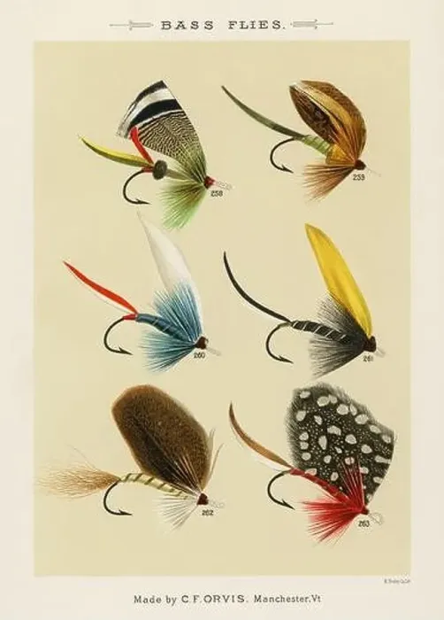 Framed Print : Vintage Illustration of fly fishing hooks Framed Print : Vintage Illustration of fly fishing hooks