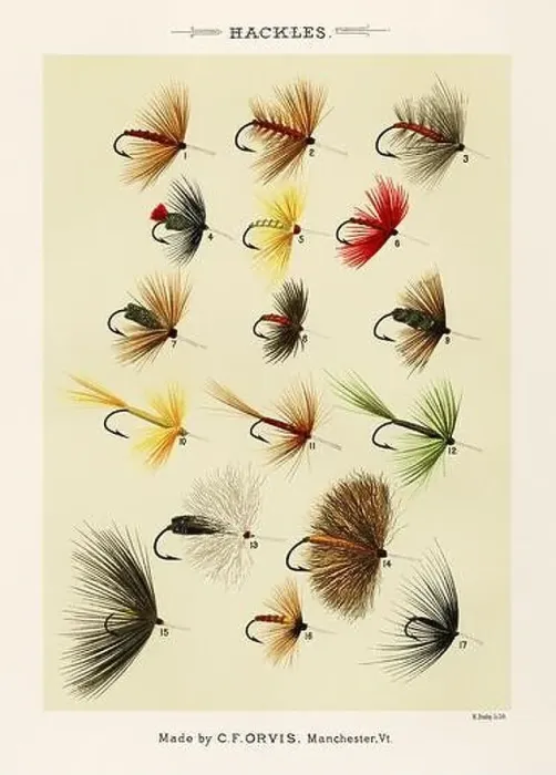 Framed Print : Vintage Illustration of fly fishing hooks Framed Print : Vintage Illustration of fly fishing hooks