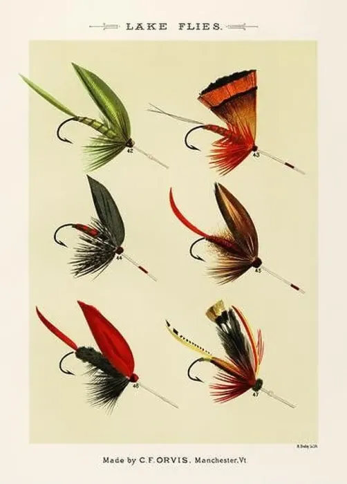 Framed Print : Vintage Illustration of fly fishing hooks Framed Print : Vintage Illustration of fly fishing hooks