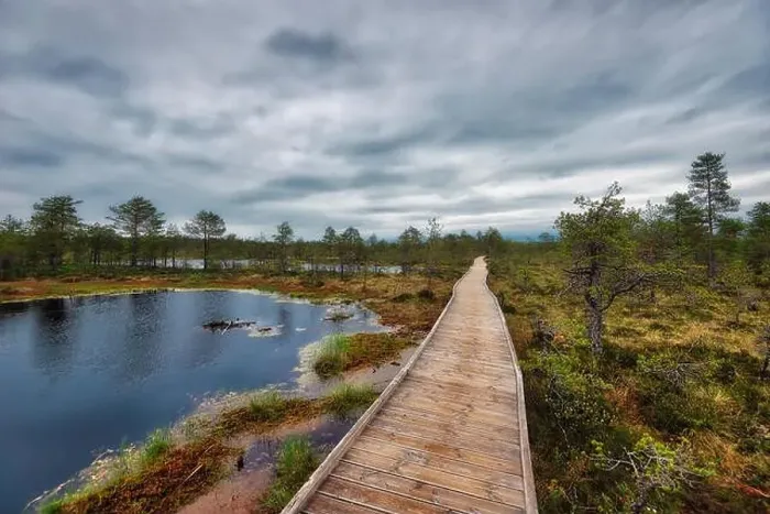 Framed Print : Viru Bog on a cloudy morning, east of Tallinn, Estonia, taken in May 2019 Framed Print : Viru Bog on a cloudy morning, east of Tallinn, Estonia, taken in May 2019