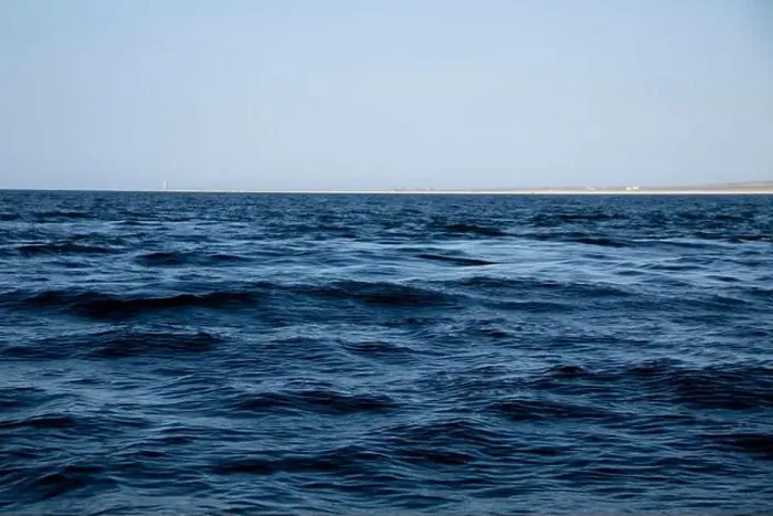 Framed Print : A vortex caused by a school of Munk's Devil Rays aka Mobula Rays (Mobula munkiana) Framed Print : A vortex caused by a school of Munk's Devil Rays aka Mobula Rays (Mobula munkiana)
