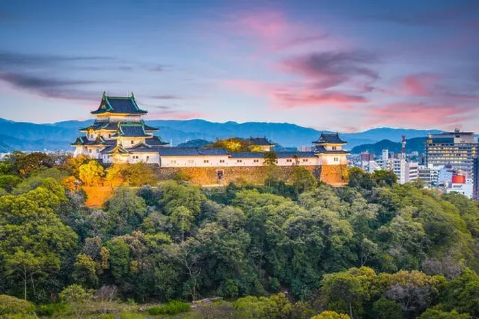 Framed Print : Wakayama City, Japan castle park and downtown cityscape at dusk Framed Print : Wakayama City, Japan castle park and downtown cityscape at dusk