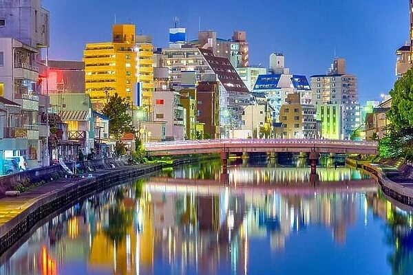 Wakayama City, Japan cityscape on the Waka River at night