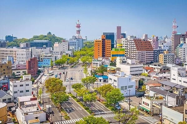 Wakayama City, Japan downtown skyline in the day