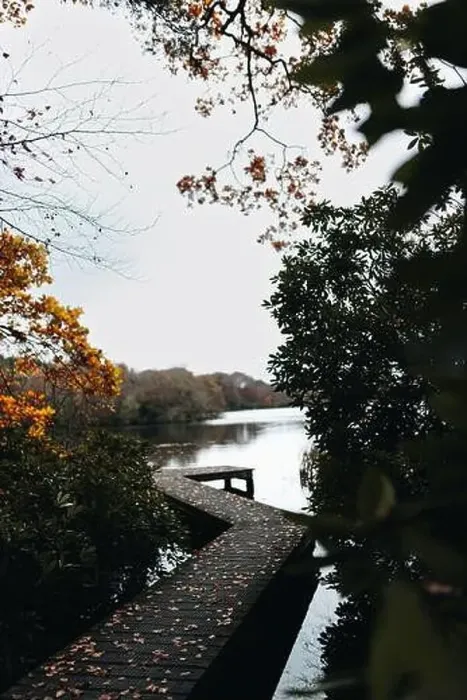 Framed Print : A walk on the most beautiful lake from northumberland