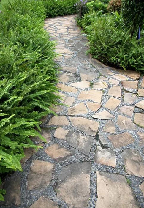 Framed Print : Walkway Stone in the backyard Framed Print : Walkway Stone in the backyard