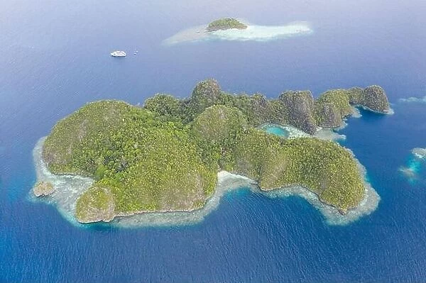Warm seas surround rugged limestone islands in Raja Ampat, Indonesia. This area is known as the Coral Triangle due to its high marine biodiversity