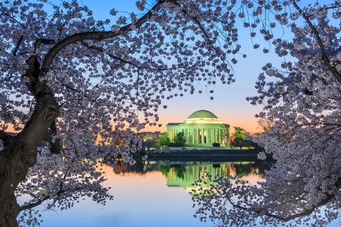 Framed Print : Washington, DC at the Jefferson Memorial during spring Framed Print : Washington, DC at the Jefferson Memorial during spring