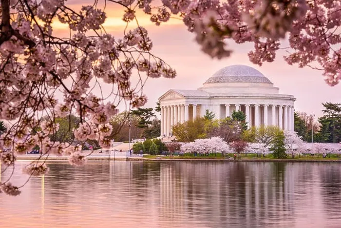 Framed Print : Washington, DC at the Tidal Basin and Jefferson Memorial during spring Framed Print : Washington, DC at the Tidal Basin and Jefferson Memorial during spring