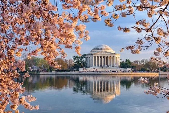 Framed Print : Washington, DC at the Tidal Basin and Jefferson Memorial during spring Framed Print : Washington, DC at the Tidal Basin and Jefferson Memorial during spring