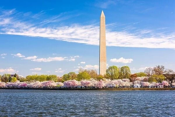Washington DC, USA in spring season
