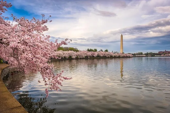 Framed Print : Washington DC, USA in spring season Framed Print : Washington DC, USA in spring season