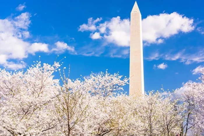 Framed Print : Washington DC, USA in spring season with cherry blossoms Framed Print : Washington DC, USA in spring season with cherry blossoms