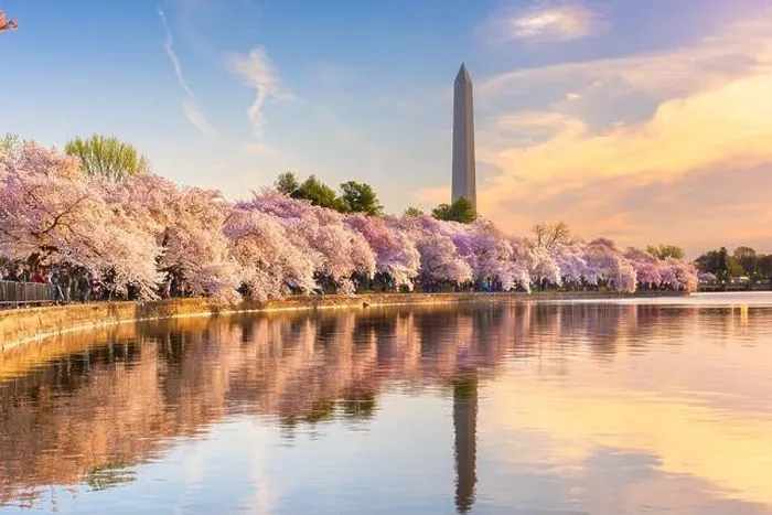 Framed Print : Washington DC, USA at the tidal basin with Washington Monument in spring season Framed Print : Washington DC, USA at the tidal basin with Washington Monument in spring season