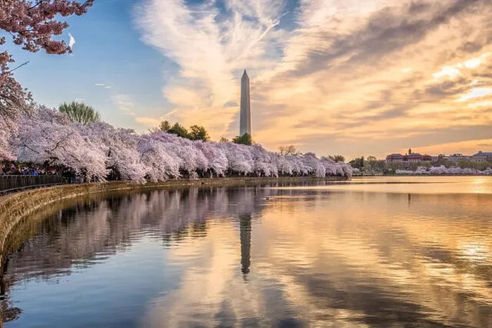 Framed Print : Washington DC, USA at the tidal basin with Washington Monument in spring season