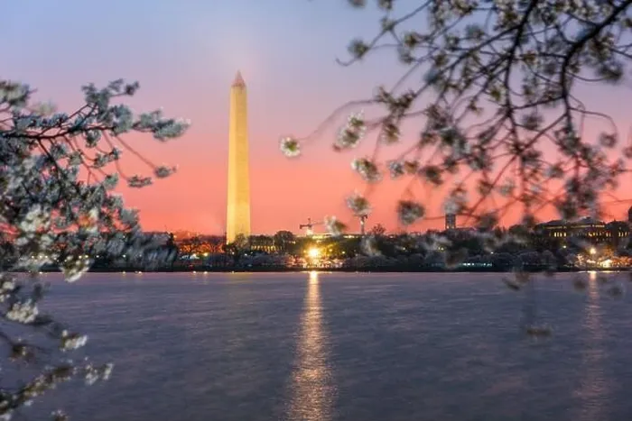 Framed Print : Washington DC; USA at the tidal basin with Washington Monument in spring season Framed Print : Washington DC; USA at the tidal basin with Washington Monument in spring season