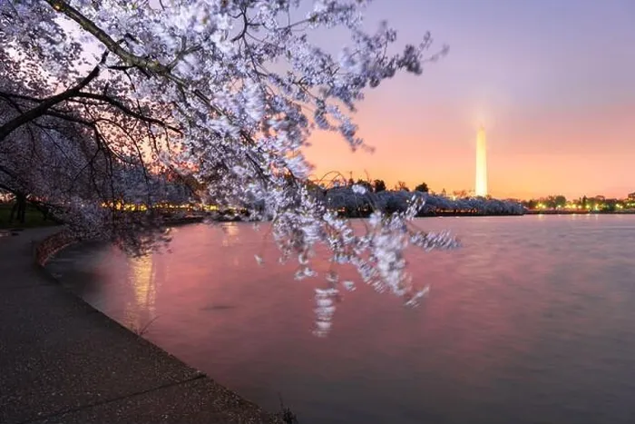 Framed Print : Washington DC; USA at the tidal basin with Washington Monument in spring season Framed Print : Washington DC; USA at the tidal basin with Washington Monument in spring season