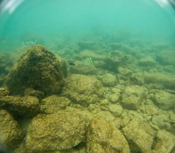 Framed Print : Under water at Poipu beach in Kauai, Hawaii, USA