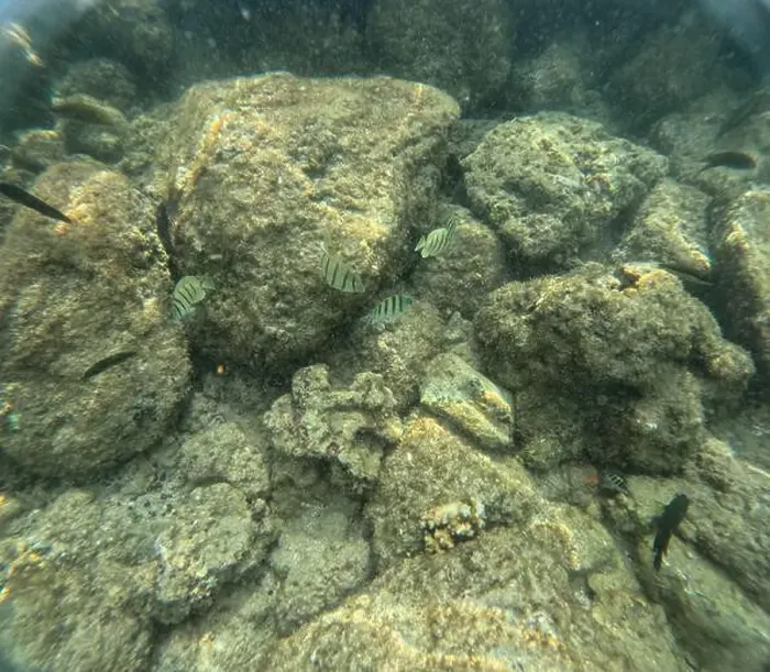 Framed Print : Under water at Poipu beach in Kauai, Hawaii, USA Framed Print : Under water at Poipu beach in Kauai, Hawaii, USA