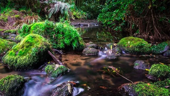 Framed Print : Water stream among the stones in the moss with long exposure, Mangakarengorengo river, McLaren falls, New Zealand Framed Print : Water stream among the stones in the moss with long exposure, Mangakarengorengo river, McLaren falls, New Zealand