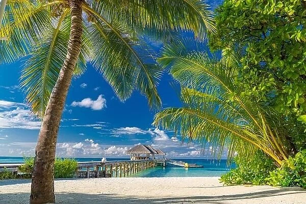 Water villas bungalows in the Maldives, scenic view with palm tree leaves, blue sea sky. Idyllic island beach landscape, tropical nature. Luxury vacay