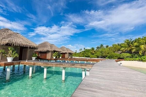 Water Villas bungalows on the perfect tropical Island, beautiful white sand on tropical beach blue water blue sky with coconut palm, Maldives islands