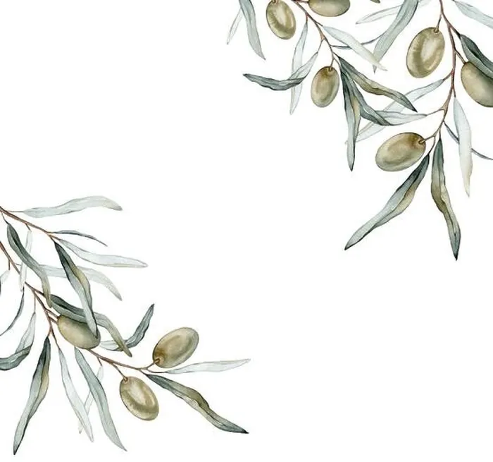 Framed Print : Watercolor banner with green and black olive leaves branches. Olive in bouquet. Decorative element for greeting card. Illustration frame. Pure vegan Framed Print : Watercolor banner with green and black olive leaves branches. Olive in bouquet. Decorative element for greeting card. Illustration frame. Pure vegan