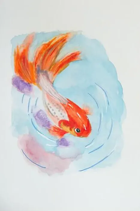 Framed Print : Watercolor. Illustration of goldfish in water. White background Framed Print : Watercolor. Illustration of goldfish in water. White background