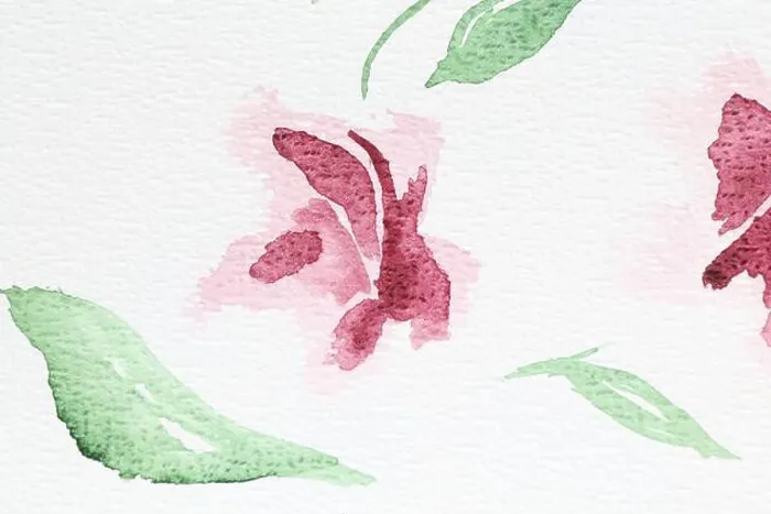 Framed Print : Watercolor painting of pink flower and leaves on white paper, top view Framed Print : Watercolor painting of pink flower and leaves on white paper, top view