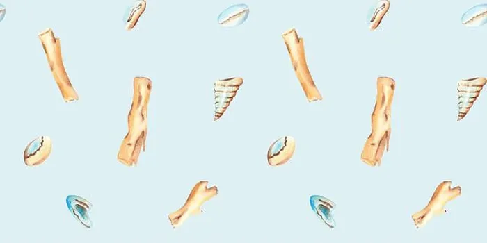 Framed Print : Watercolor Under the sea hand drawn Seamless Pattern with Seashells and Wooden Stocks on a light blue background Framed Print : Watercolor Under the sea hand drawn Seamless Pattern with Seashells and Wooden Stocks on a light blue background