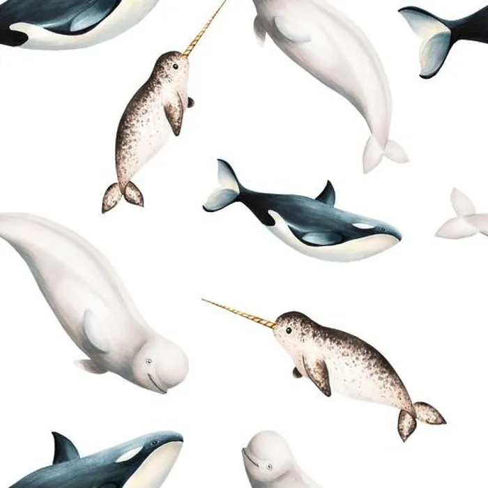 Framed Print : Watercolor seamless pattern with beluga Framed Print : Watercolor seamless pattern with beluga