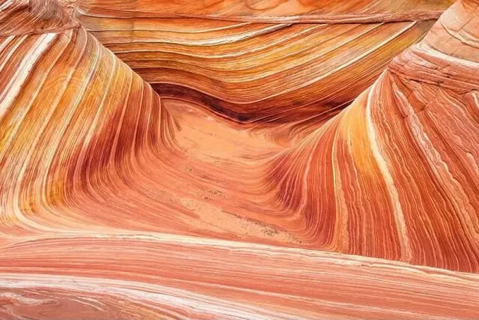 Framed Print : The Wave, Coyote Buttes, Paria-Vermilion Cliffs Wilderness, Arizona USA Framed Print : The Wave, Coyote Buttes, Paria-Vermilion Cliffs Wilderness, Arizona USA