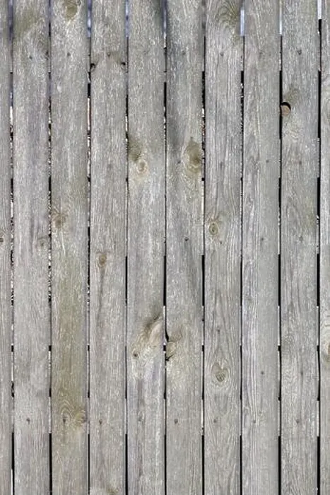Framed Print : A weathered gray wood fence nailed down with rusty nails. Old wood texture in sunlight. Vertical image Framed Print : A weathered gray wood fence nailed down with rusty nails. Old wood texture in sunlight. Vertical image