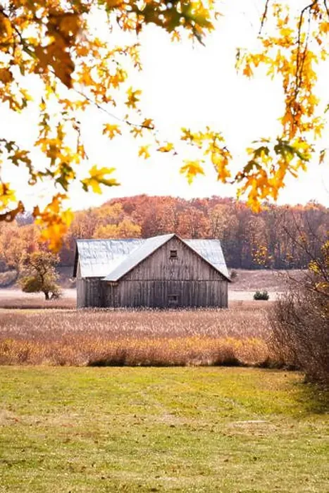 Framed Print : Weathered Wood Barn in Autumn Framed Print : Weathered Wood Barn in Autumn