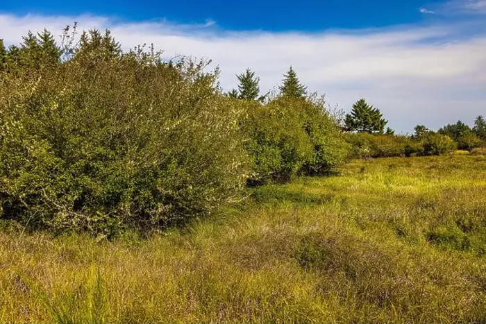 Framed Print : Wetland viewed from observation blind in Bottle Beach State Park, Washington State, USA