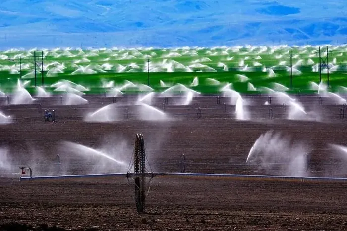 Framed Print : Wheel line sprinklers for irrigation of furrowed plowed farm field dirt lines to grow green crops Framed Print : Wheel line sprinklers for irrigation of furrowed plowed farm field dirt lines to grow green crops