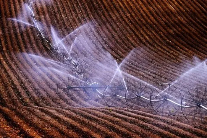 Framed Print : Wheel line sprinklers for irrigation of furrowed plowed farm field dirt lines to grow green crops Framed Print : Wheel line sprinklers for irrigation of furrowed plowed farm field dirt lines to grow green crops