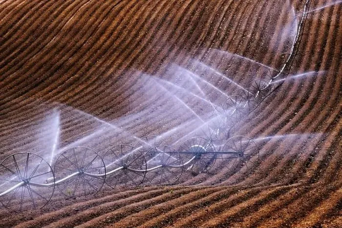 Framed Print : Wheel line sprinklers for irrigation of furrowed plowed farm field dirt lines to grow green crops Framed Print : Wheel line sprinklers for irrigation of furrowed plowed farm field dirt lines to grow green crops