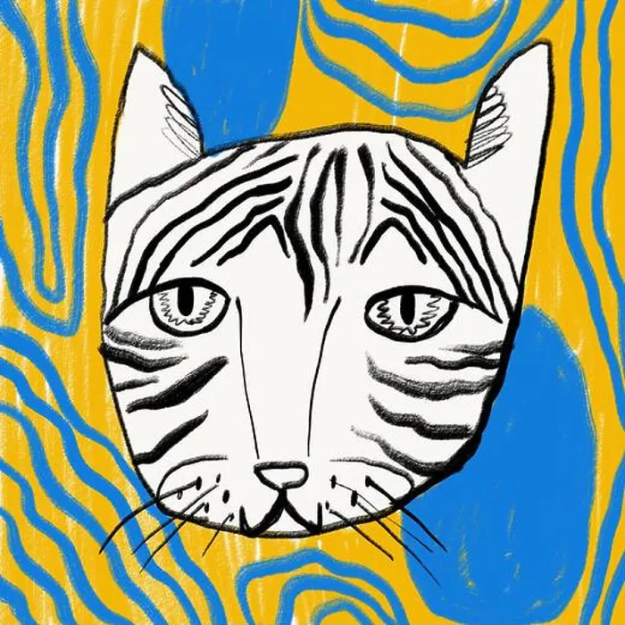 Framed Print : A whimsical digital illustration of a sketched cat with prominent stripes against a brightly colored Framed Print : A whimsical digital illustration of a sketched cat with prominent stripes against a brightly colored