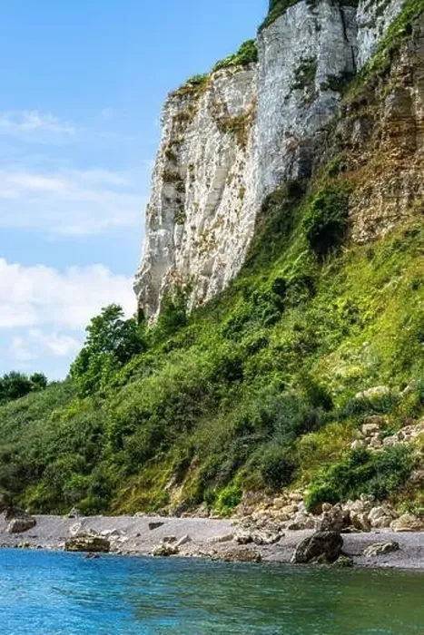 Framed Print : White Cliff, Jurassic Coast, Seaton, Devon, England Framed Print : White Cliff, Jurassic Coast, Seaton, Devon, England