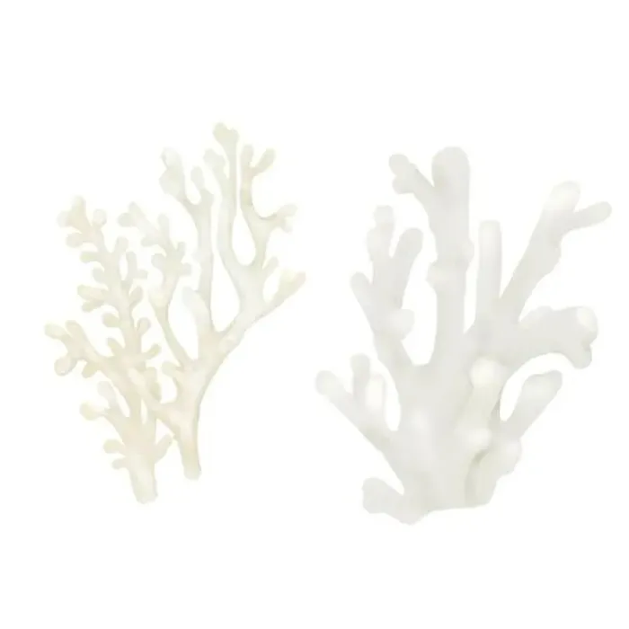 Framed Print : White coral, an element of the underwater world and coral reefs Framed Print : White coral, an element of the underwater world and coral reefs