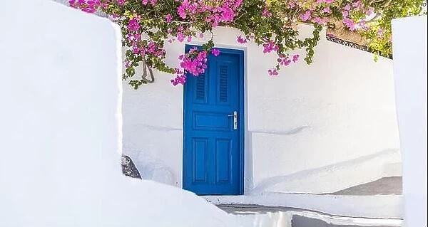 White cycladic architecture blue door and pink bougainvillea flowers on Santorini island, Greece. Fantastic travel background Idyllic summer vacation